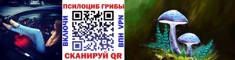 Псилоцибиновые грибы мицелий Плавск